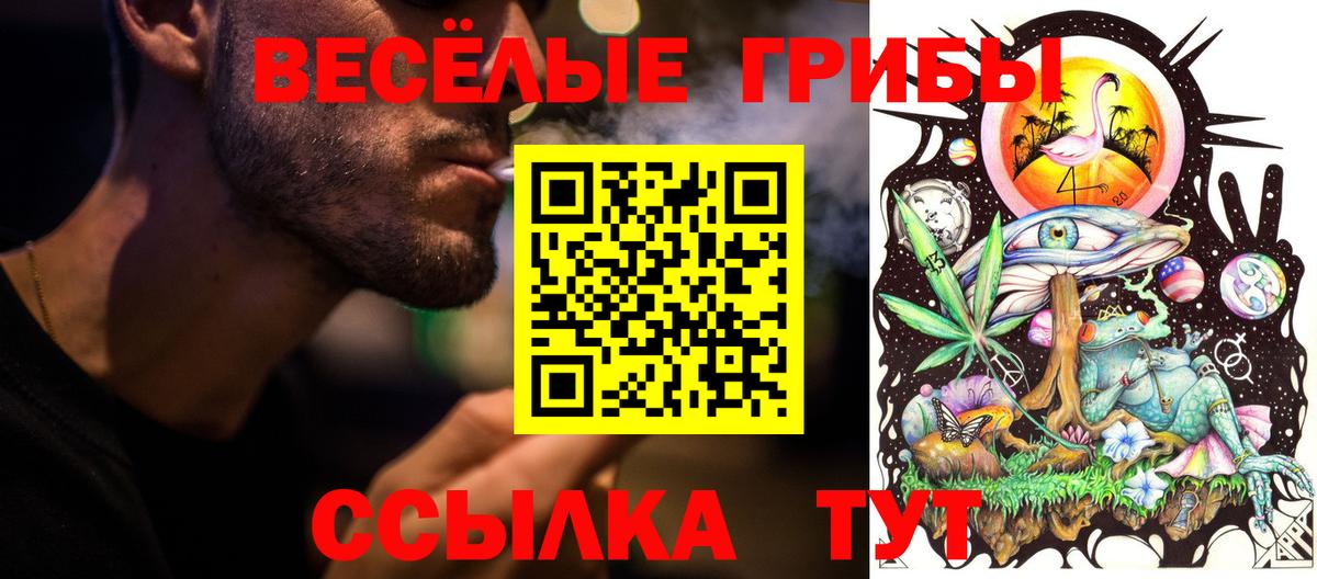 Псилоцибиновые грибы MAGIC MUSHROOMS  дарнет шоп  Прокопьевск  Вход с VPN 